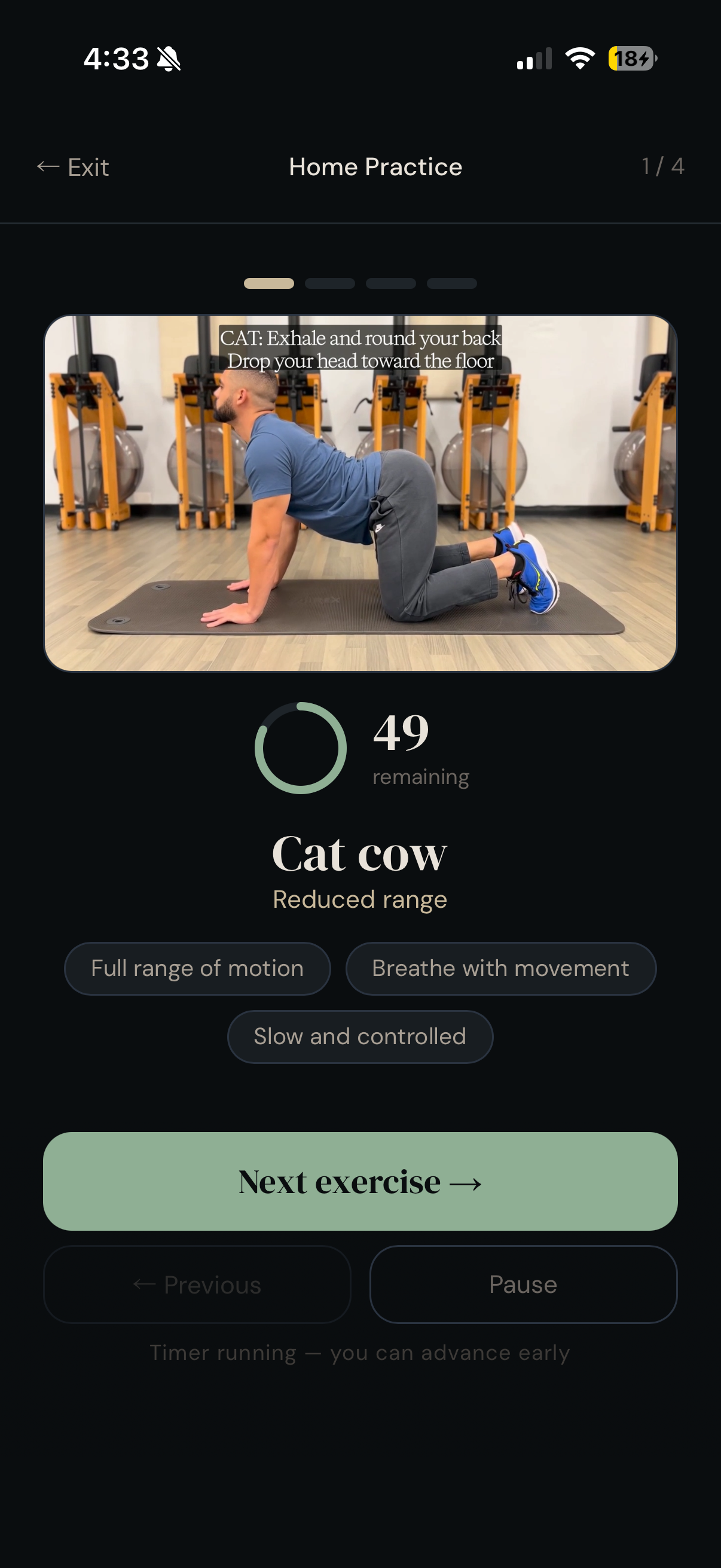 Guided practice, Cat cow